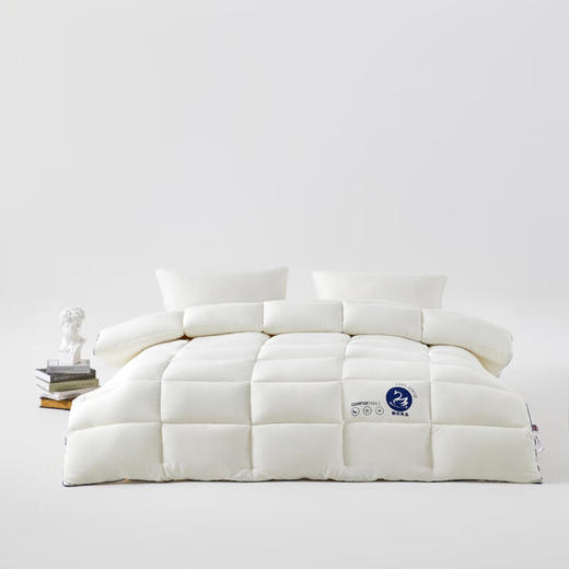 【分仓直发包邮】无印良品加州鹅丝被MJ-B2025-0176 商品图0