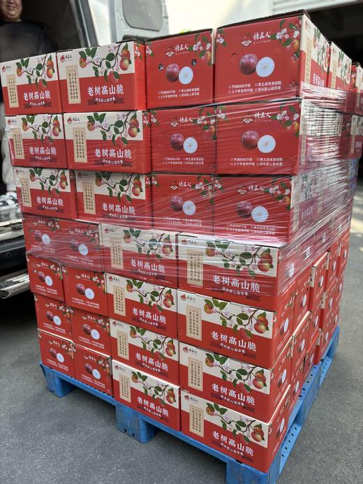 山西高山30年老树苹果35元1箱毛8斤，明天到 商品图2