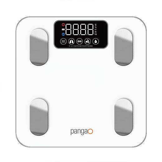 攀高智能体脂秤PG-F01白色精准测脂家用健康秤 商品图5