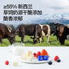 【秒杀品】😍66.9到手共57粒📣奶酪博士小方奶酪❗️👏添加果酱、浓醇奶香、绵软丝滑、多种口味选择，保质期6个月【HZ】 商品缩略图6