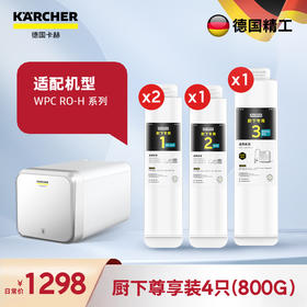 厨下800G滤芯尊享套装【4只装】 囤货买更划算