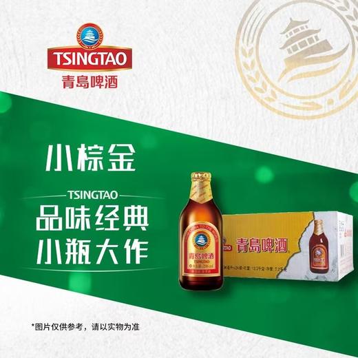 青岛啤酒棕金11度296ml/瓶 商品图0