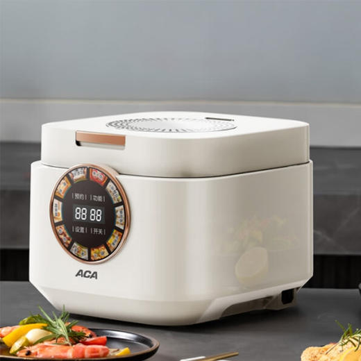 TY（分多包裹发货）SKG T5腰部按摩仪+ACA（北美电器）多功能电饭煲 ALY-G30FB01D【鲜知10.0】 商品图3