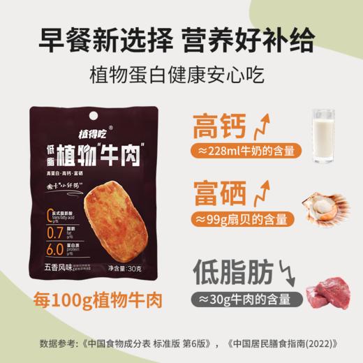低脂植物“牛肉” 五香味/孜然味/ 甜蜜爆辣味30g/袋 商品图3