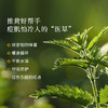 枕草子艾草精油 温暖草木香 推背好帮手 商品缩略图3