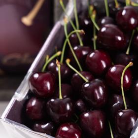 智利空运科迪亚车厘子