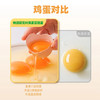 【鸡蛋年卡12箱】物源初见 叶黄素富硒鸡蛋 30枚/箱（下单赠送兑换券，首期无需兑换直接配送，剩余期数需在优惠券中兑换） 商品缩略图4
