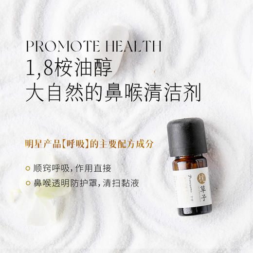 枕草子法国【桉油醇迷迭香】精油| 欧盟you机认证 鼻腔不适 呼吸化痰 头皮健康护发养发 脑力工作者  记忆香草（26年11月到期） 商品图3