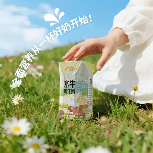 左江a2β-酪蛋白水牛纯牛奶 210ml*10盒 乳糖不耐受福音，营养好吸收 商品图8