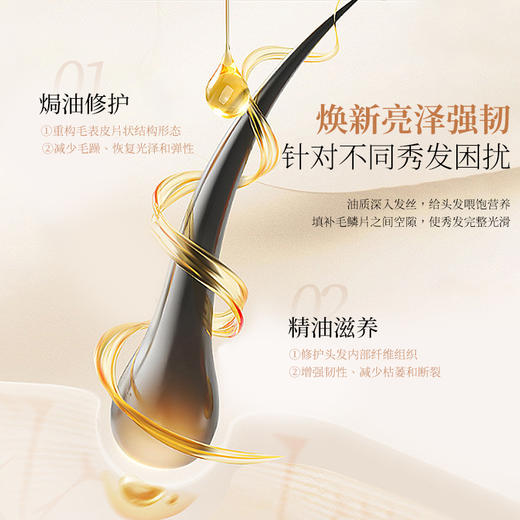 KD389焗油护发梳 商品图2