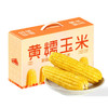 秋际农场·黄糯玉米 多规格可选  一口鲜满口甜糯 商品缩略图1
