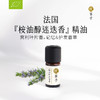 枕草子法国【桉油醇迷迭香】精油| 欧盟you机认证 鼻腔不适 呼吸化痰 头皮健康护发养发 脑力工作者  记忆香草（26年11月到期） 商品缩略图0