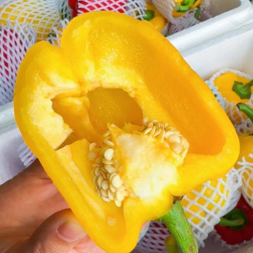 山东水果灯笼彩椒【2种颜色拼装】 商品图4