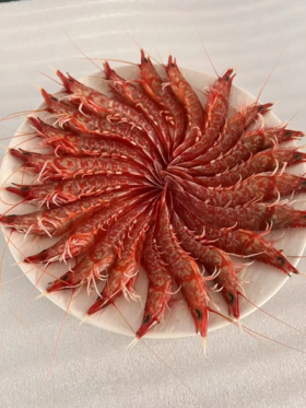 原生态天然海域— 东山岛网红樱花虾🦐【活冻】