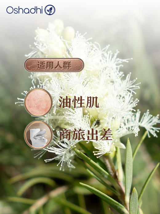 德国O家茶树精油单方精油 香薰精油 面部点涂 做按摩油 商品图1