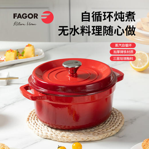 法格（FAGOR）法格铸铁珐琅锅FG-HZT2201TG【LXGWZQ5.0】 商品图0