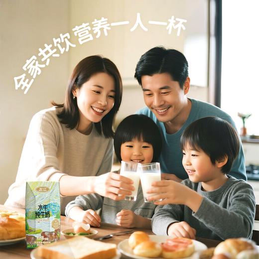 左江a2β-酪蛋白水牛纯牛奶 210ml*10盒 乳糖不耐受福音，营养好吸收 商品图7