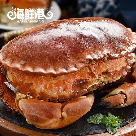 TY26年海鲜港1298型-功成名就【鲜知10.0】 商品图3