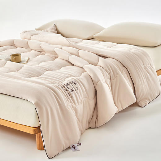 【分仓直发包邮】无印良品雪纺棉麻棉花被MJ-B2025-0166 商品图5