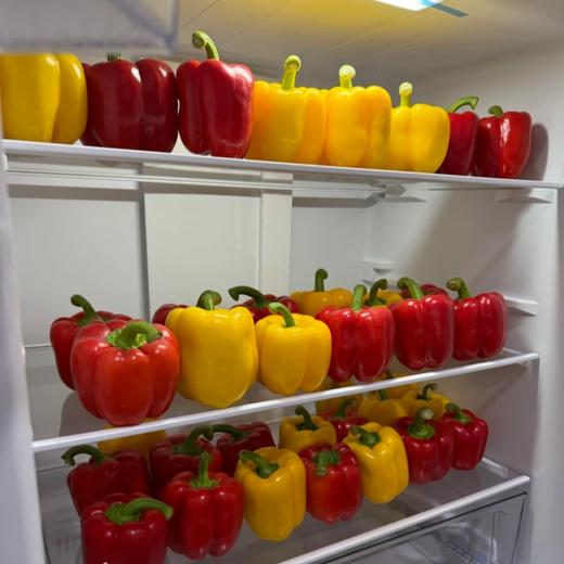 山东水果灯笼彩椒【2种颜色拼装】 商品图5