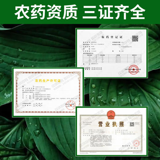 巨奇-杀虫剂喷雾500ml 商品图5