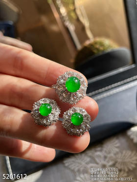 蛋面套装【5201612】具体价格微信咨询