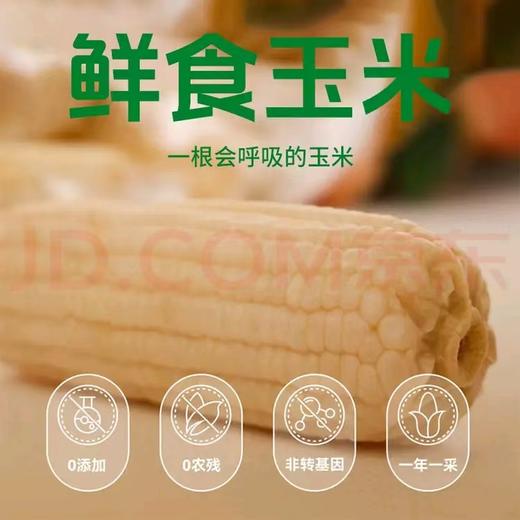甜糯爆浆玉米 珍珠奶棒 东北、云南新鲜现采  软糯香甜 真空包装 非转基因 商品图2