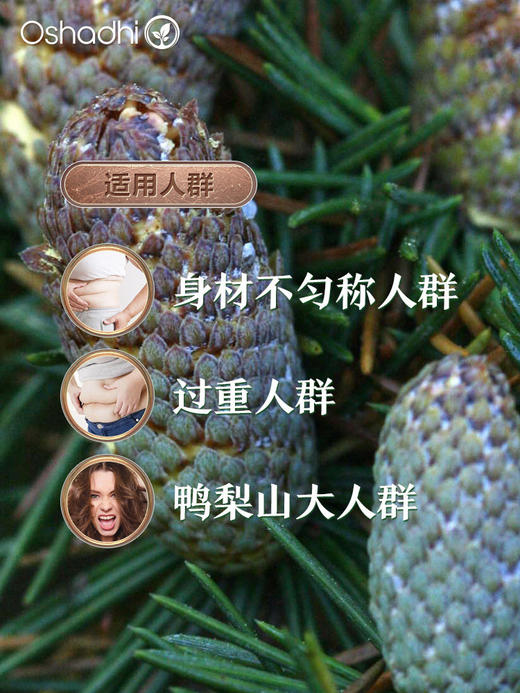 德国O家大西洋雪松北非雪松单方精油 稀释做面部精华身体按摩油 商品图1