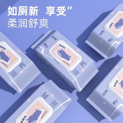 湿厕纸 家用可冲马桶降解厕所湿巾 商品图2