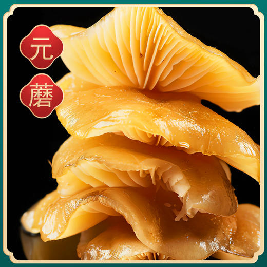 樟子松牌礼盒 商品图4