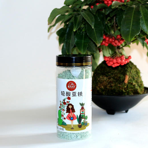 种花养花家庭园艺花肥（鑫绿美家） 商品图1