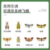 巨奇-飞蛾陷阱5片/盒 商品缩略图1