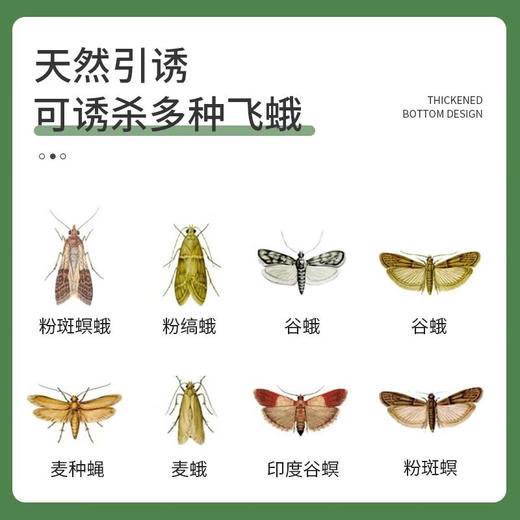 巨奇-飞蛾陷阱5片/盒 商品图1