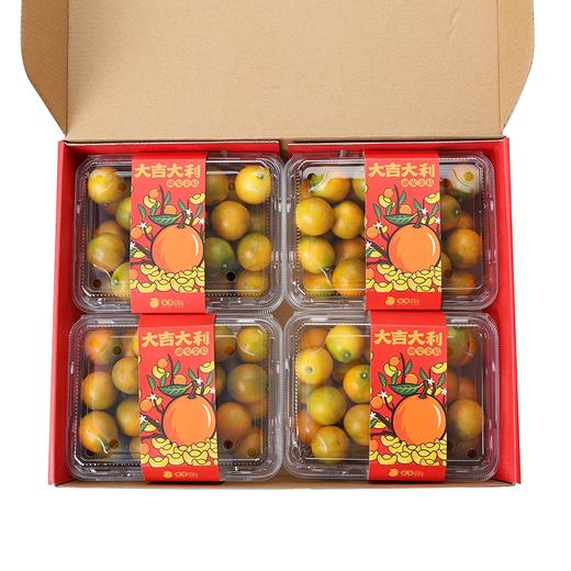 广西融安滑皮金桔蜜蛋中果2kg礼盒装(52-60粒/kg) 商品图1