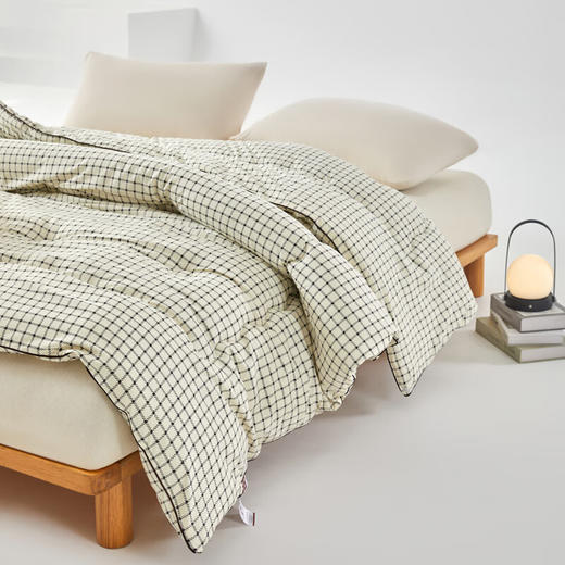 【分仓直发包邮】无印良品A+抗菌阳绒黄金被MJ-B2025-0172 商品图4