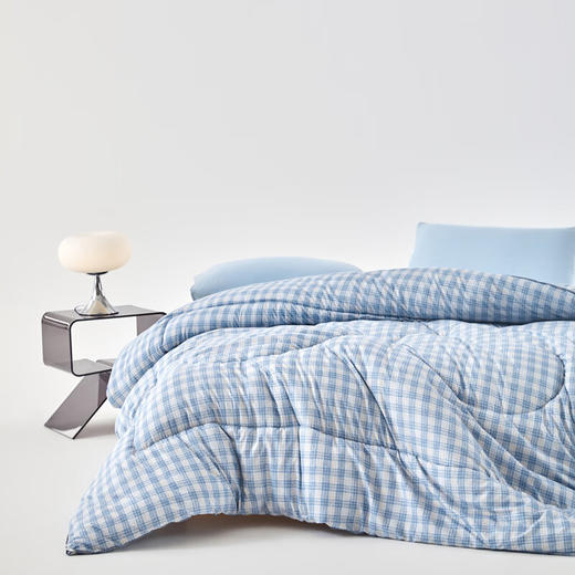 【分仓直发包邮】无印良品优+蚕茧蛋白被MJ-B2025-0170 商品图2