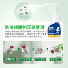 巨奇-杀虫剂喷雾500ml 商品缩略图3