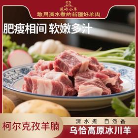 【品牌 葱岭小羊】柯尔克孜羊腩2kg