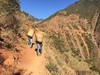 【悬崖上的蜂蜜】出行必备 便携装 20袋*12克 商品缩略图4