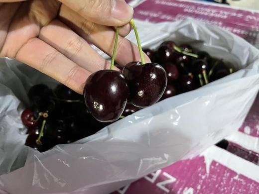 新西兰奥塔哥科迪亚车厘子298元1箱5斤装，明天到货 商品图1