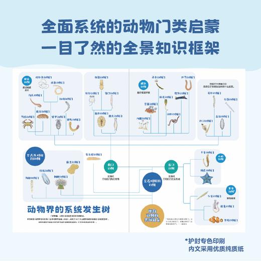 大海里的怪东西 商品图2