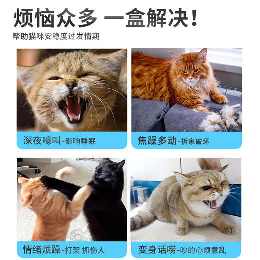 PetsBenz-猫咪舒情粉-50g 用于缓解猫咪发情，厌食，焦躁。 商品图3