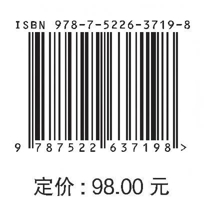 水库-河道水沙输移与凌汛灾害防控关键技术 商品图3