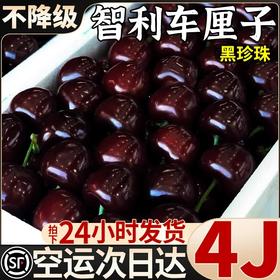 S顺丰包邮！进口智利桑提娜车厘子2J-4J*1斤/2斤/3斤/5斤