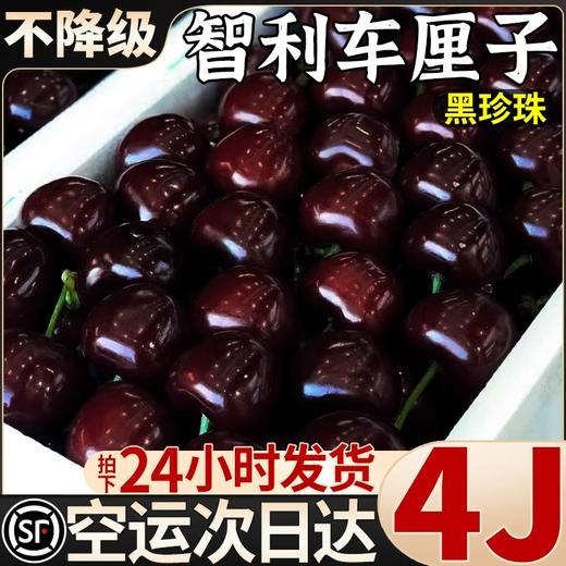 S顺丰包邮！进口智利桑提娜车厘子2J-4J*1斤/2斤/3斤/5斤 商品图0