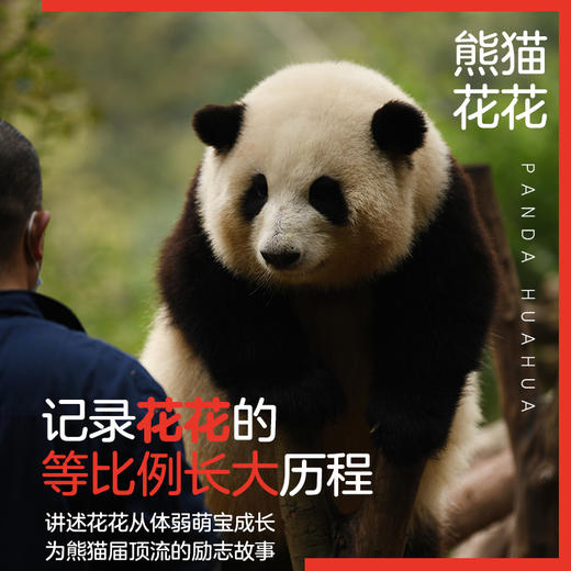 熊猫花花 商品图3