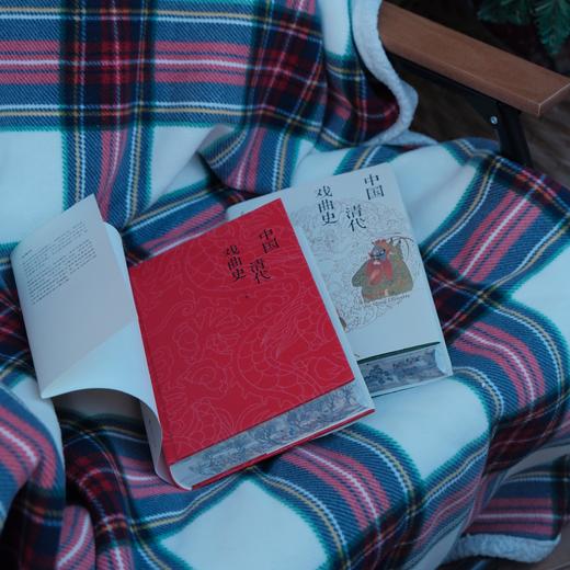 中国清代戏曲史（上、下卷）(刷边版） 商品图4