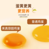 果真田园叶黄素可生食鸡蛋30枚【分仓直发，72小时发货，周末节假日不发货】 商品缩略图1