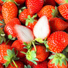 尝鲜福利『攀枝花露天冬草莓』随珠草莓+粉玉草莓+香玉草莓，甜美细嫩，香软怡人，鲜灵莹润 商品缩略图1