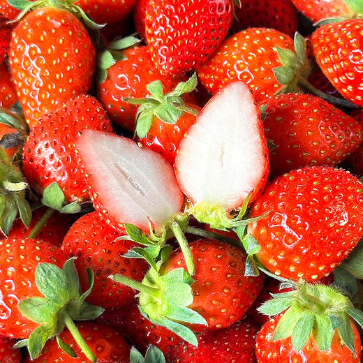 尝鲜福利『攀枝花露天冬草莓』随珠草莓+粉玉草莓+香玉草莓，甜美细嫩，香软怡人，鲜灵莹润 商品图1